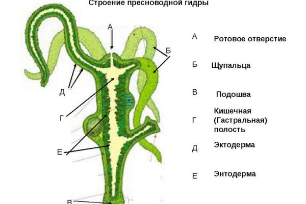 Прямая ссылка на мегу в тор