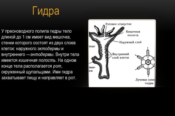 Мега зеркало официально