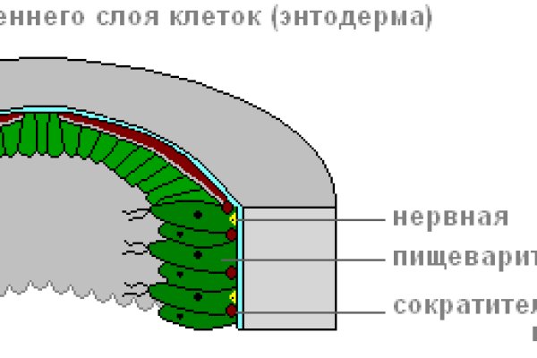 Адрес меги онион в тор