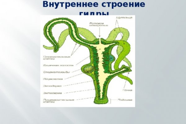 Ссылка на сайт омг в тор